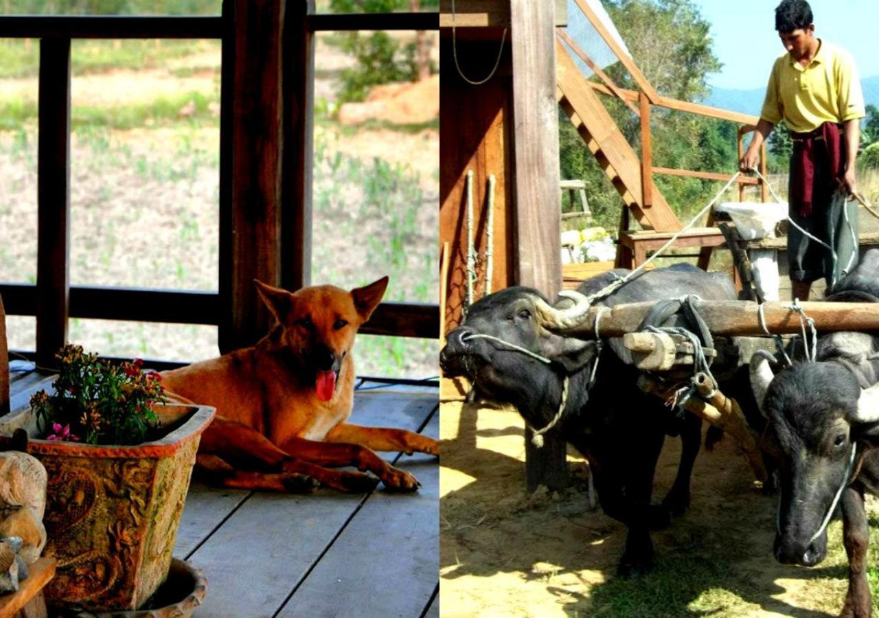 Shanta Ghar A Rustic Guesthouse チトワン エクステリア 写真